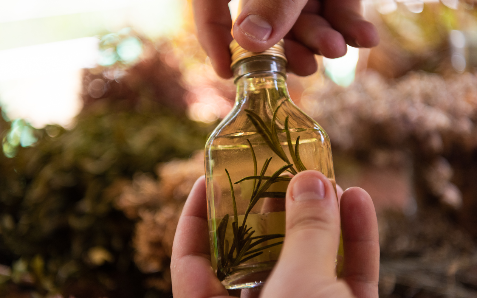 The Ultimate Elixir: How This Supplement Can Help You Shed Pounds